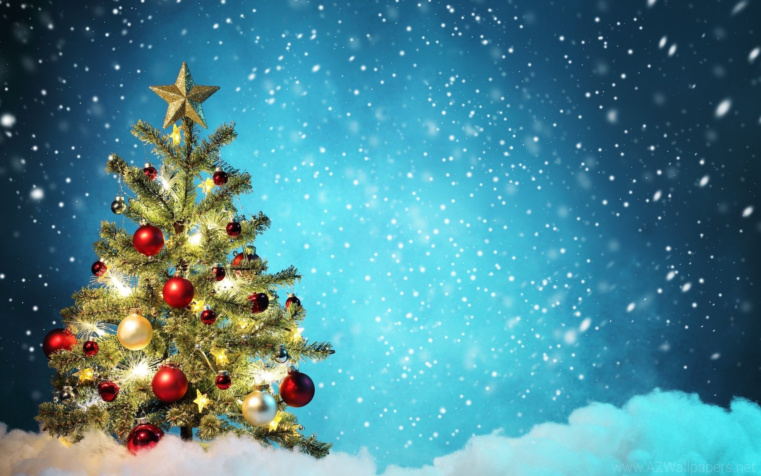Thánh Ca Noel – với giai điệu đầy cảm xúc và cảm giác lễ hội, sẽ khiến bạn thưởng thức và cảm nhận rõ hơn về mùa lễ Giáng sinh. Hãy cùng xem các hình ảnh liên quan đến Thánh Ca Noel để cảm nhận sâu sắc tình yêu và niềm hy vọng của mùa Giáng sinh.