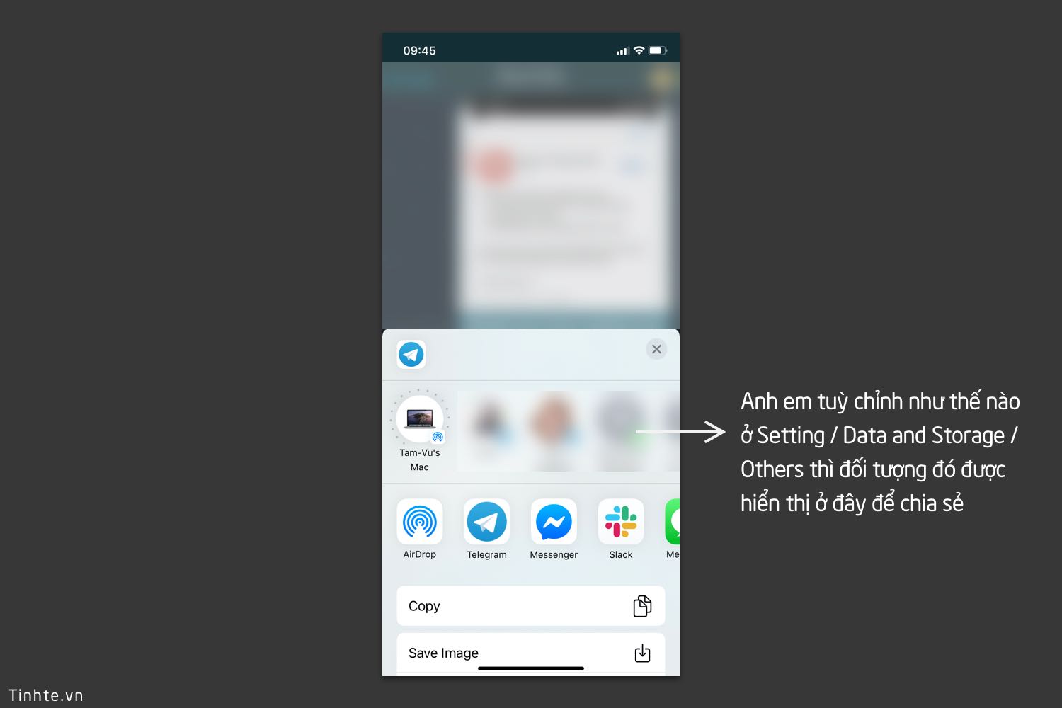 iOS_share_sheet_telegram_tinhte.jpg