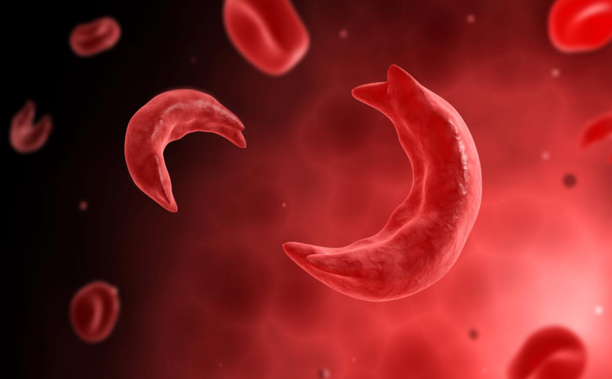 Chức năng quan trọng của tế bào hồng cầu và chỉ số bình thường