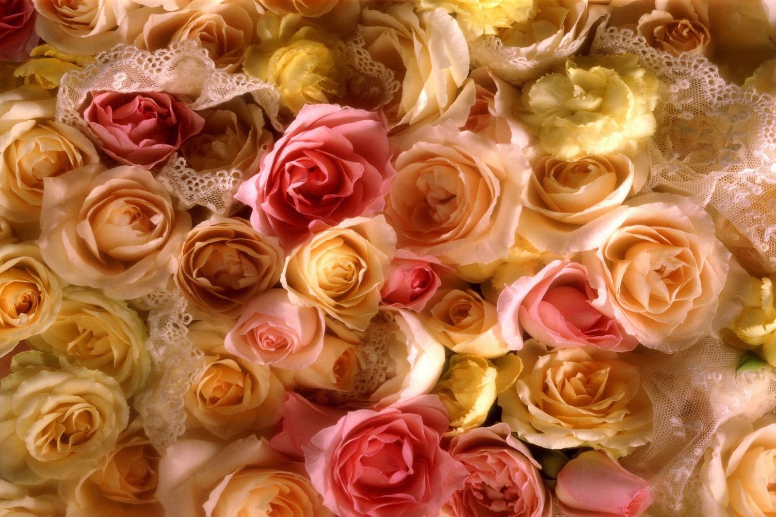 Rose Bridal Bouquet.jpg