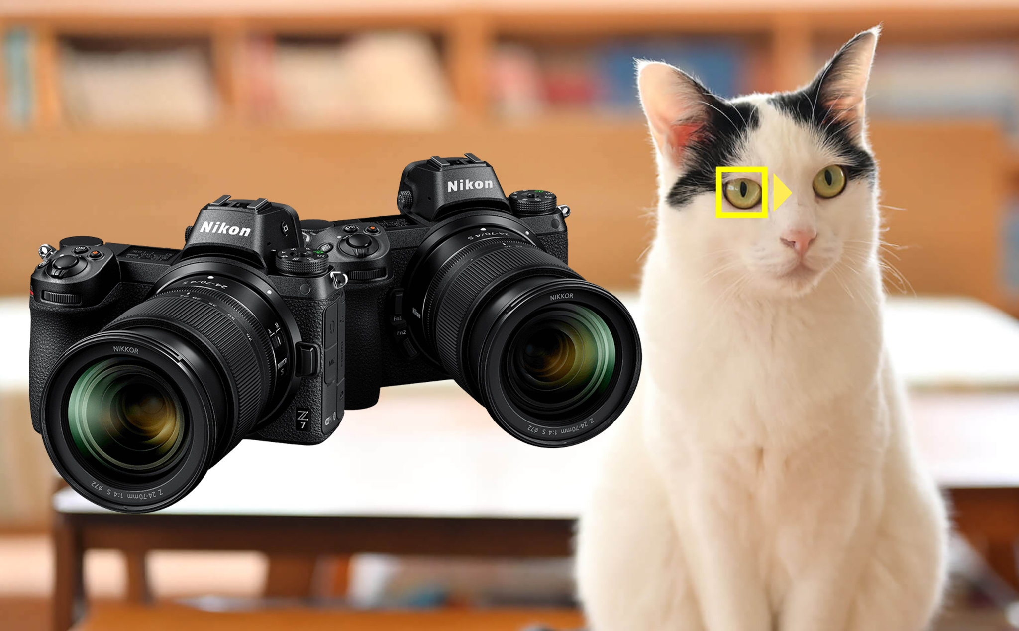 Nikon Z6/Z7 là thế hệ mới của máy ảnh DSLR, mang đến những tính năng độc đáo và tiên tiến. Nếu bạn đam mê nhiếp ảnh và muốn khám phá thế giới xung quanh bằng cách chụp ảnh đẹp, thì Nikon Z6/Z7 sẽ không làm bạn thất vọng.