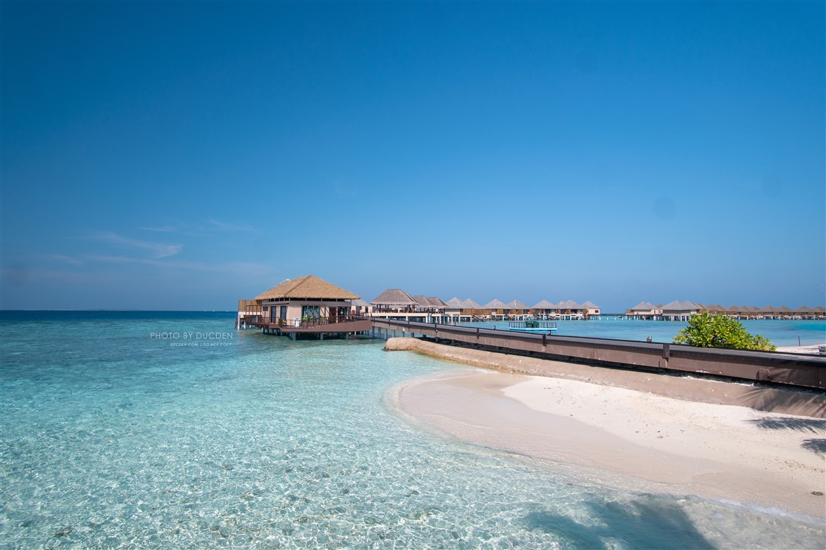 Maldives_71.jpg