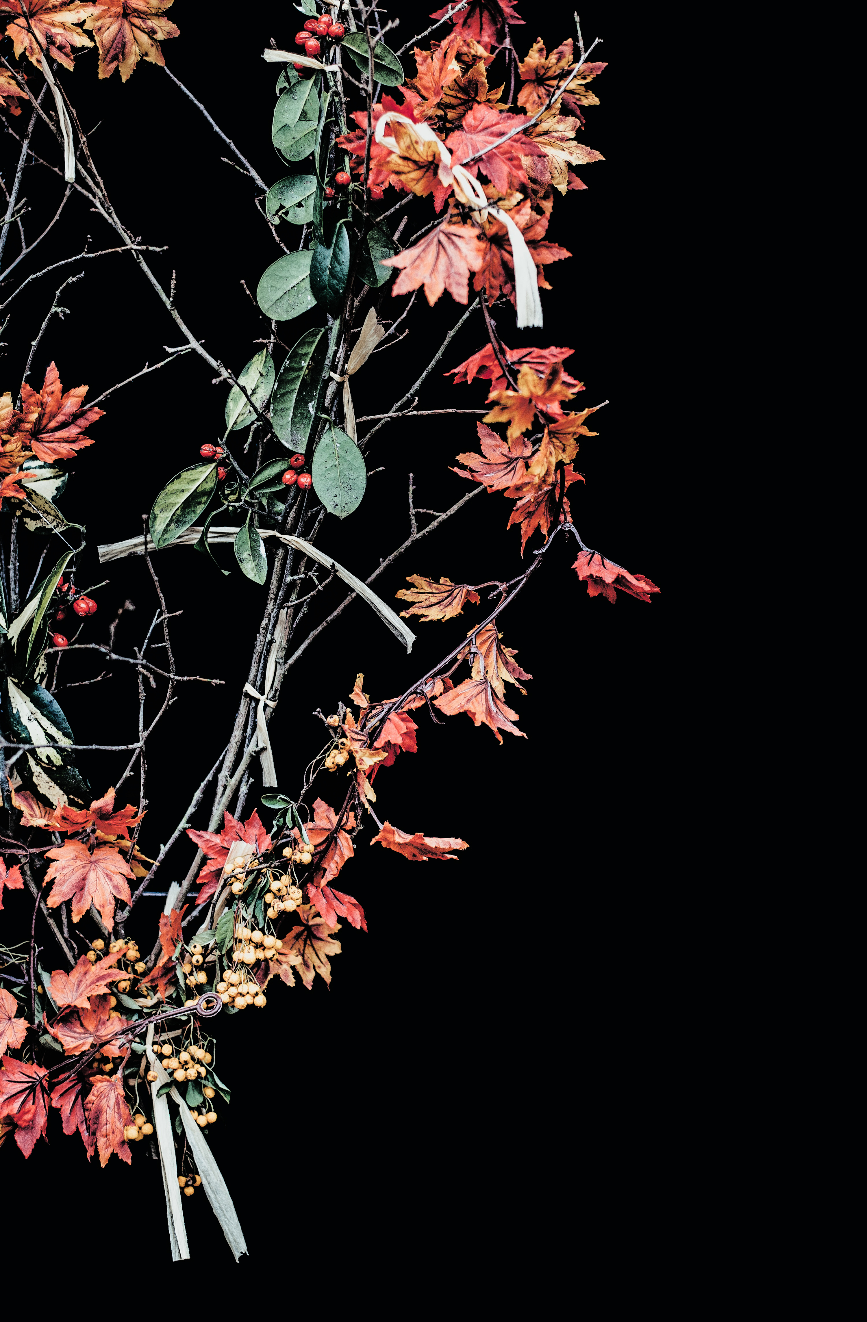 Cập nhật nhiều hơn 99 hình nền đẹp cho màn oled tuyệt vời nhất  Tin học  Đông Hòa