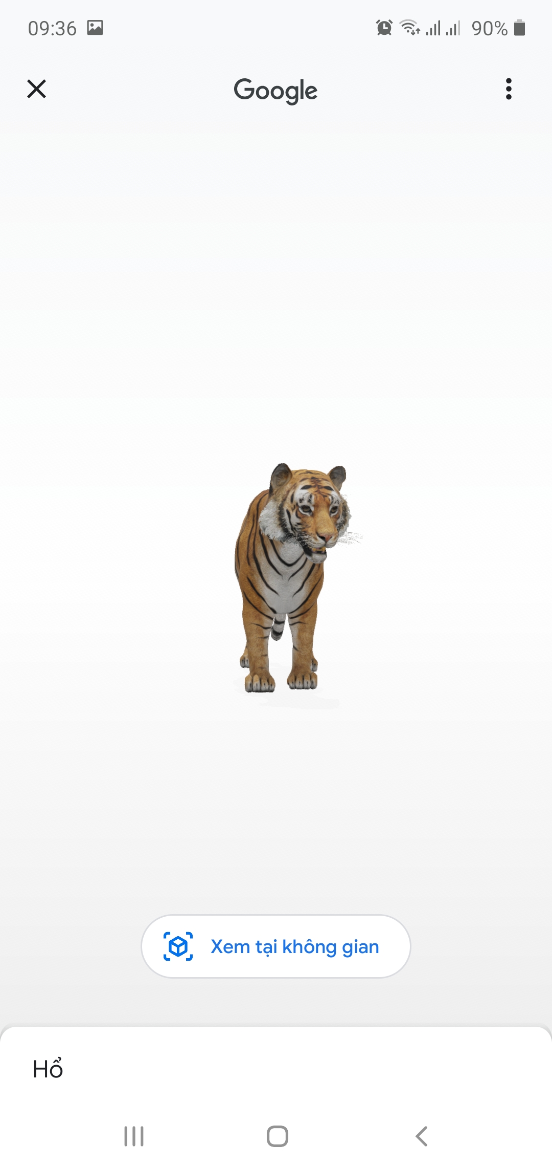 Google 3D animals - Google chính thức ra mắt tính năng xem 3D thực tế ảo.
