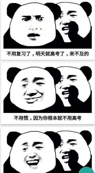 120 Panda mặt bựa ý tưởng  meme gấu trúc ảnh vui