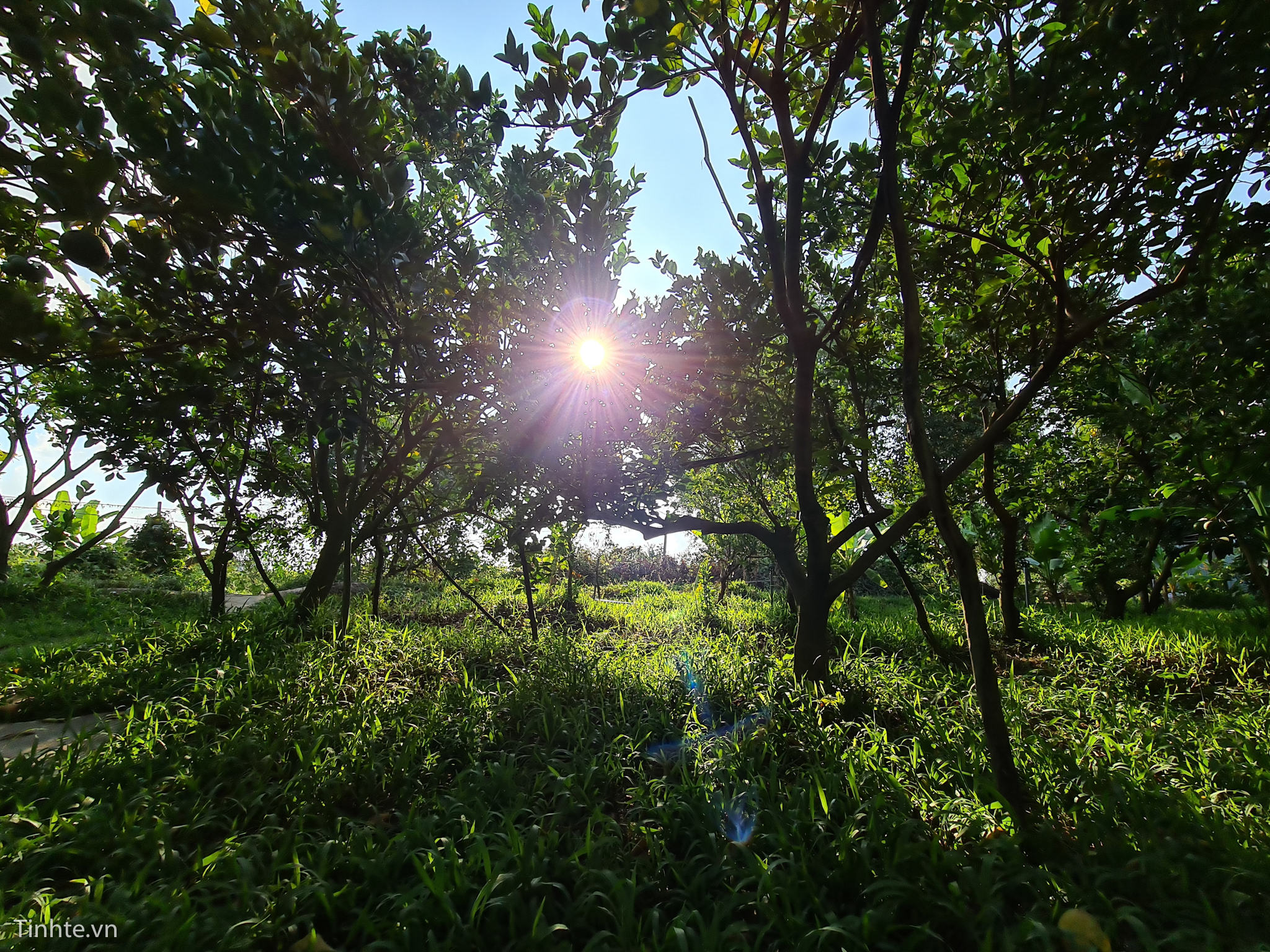 Một_ngày_ở_lấp_vò_camera_tinh_tế_samsung_s20+-23.jpg