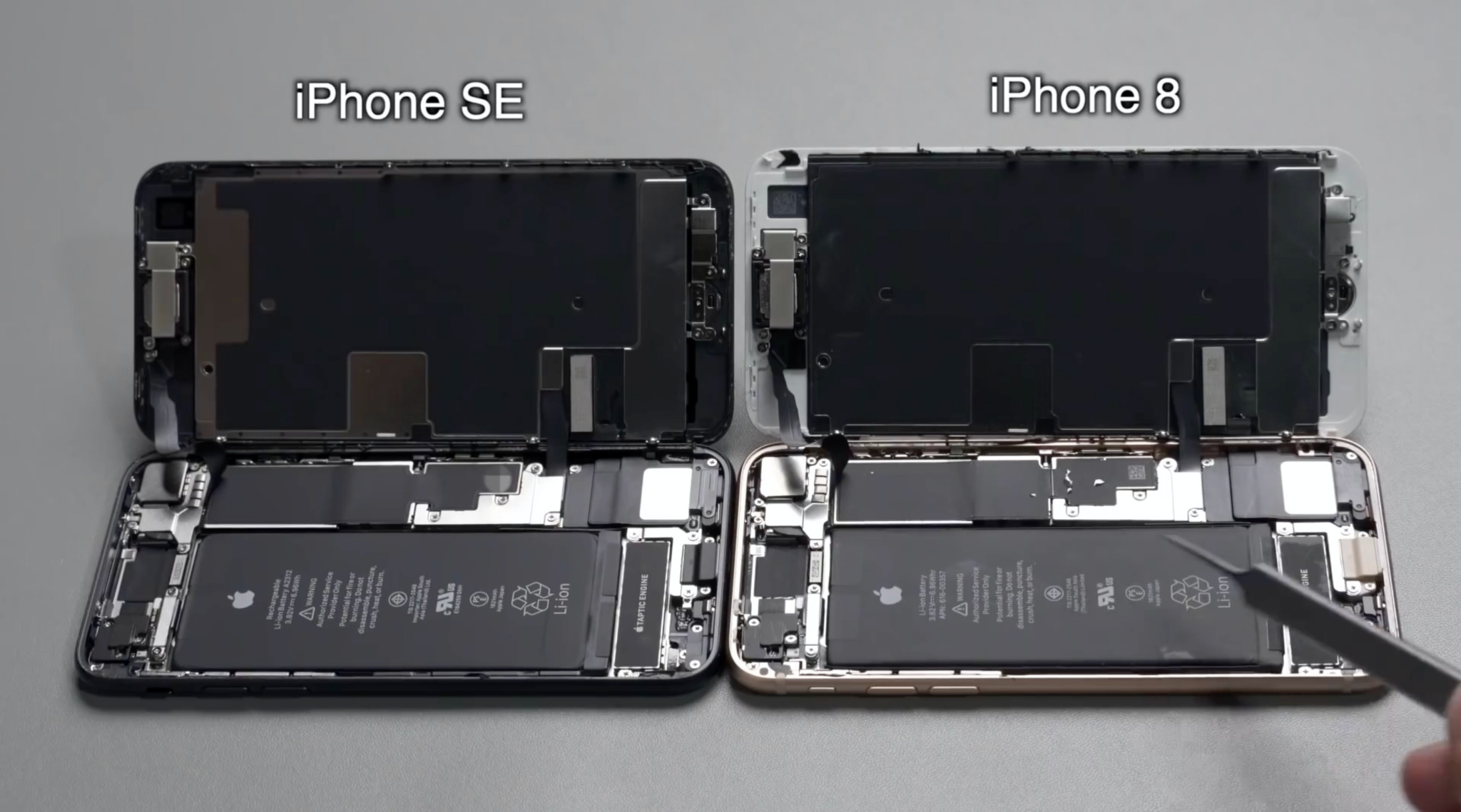 iPhone_8_and_SE.jpg