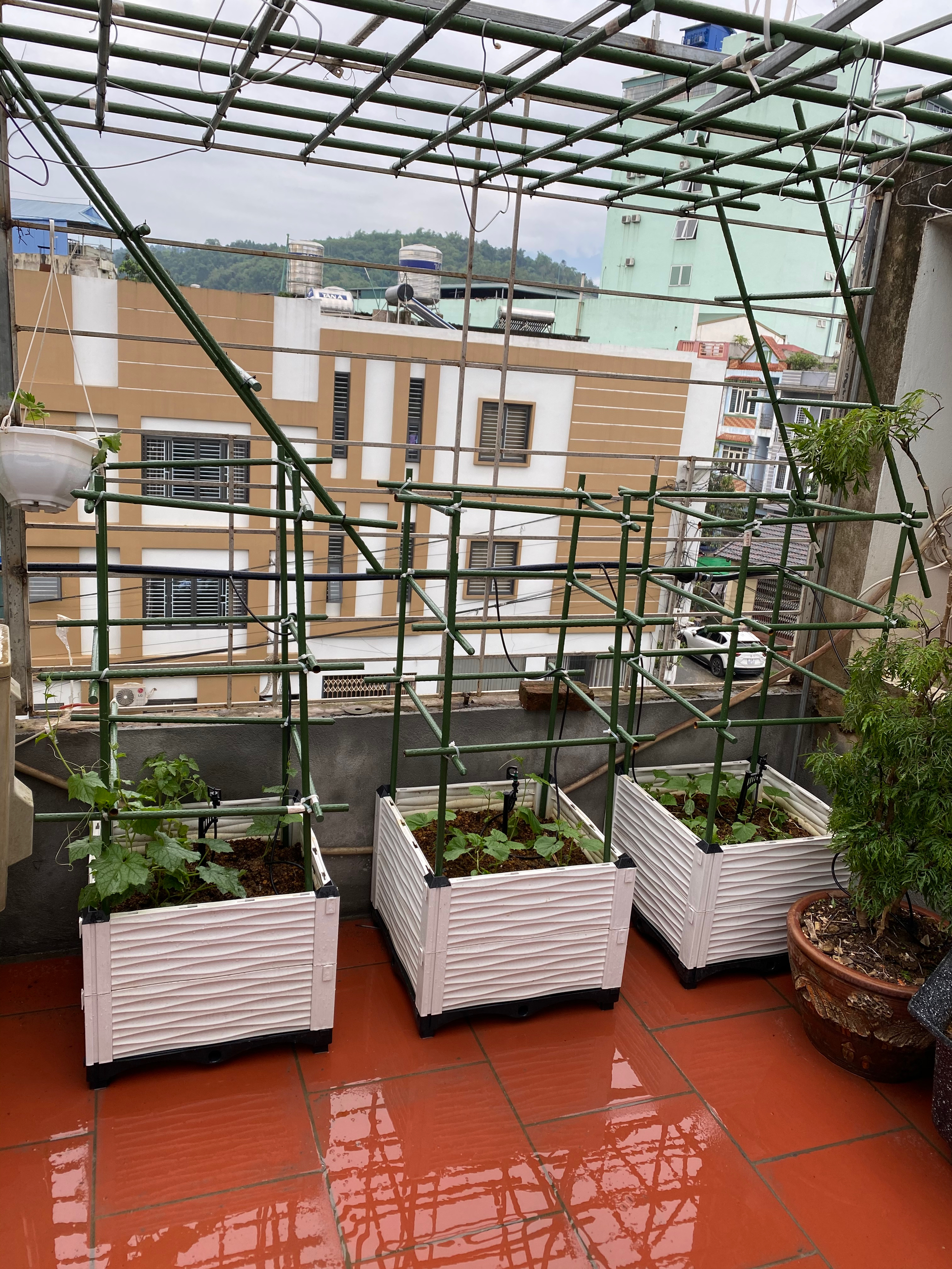 Tự làm cái khung trồng Rau trên sân thượng