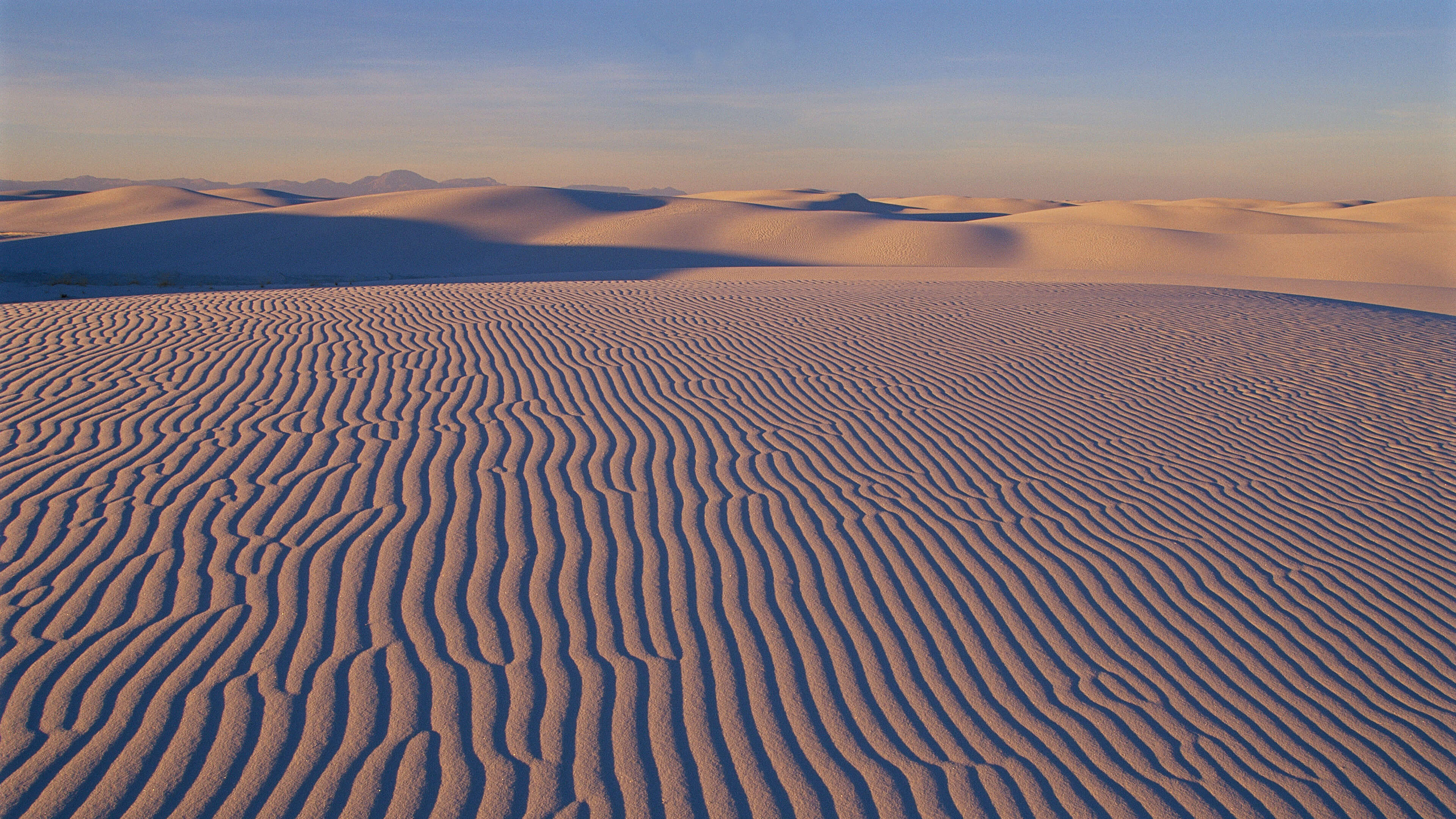 Hình ảnh phong cảnh cây khô trên sa mạcimagestock0667