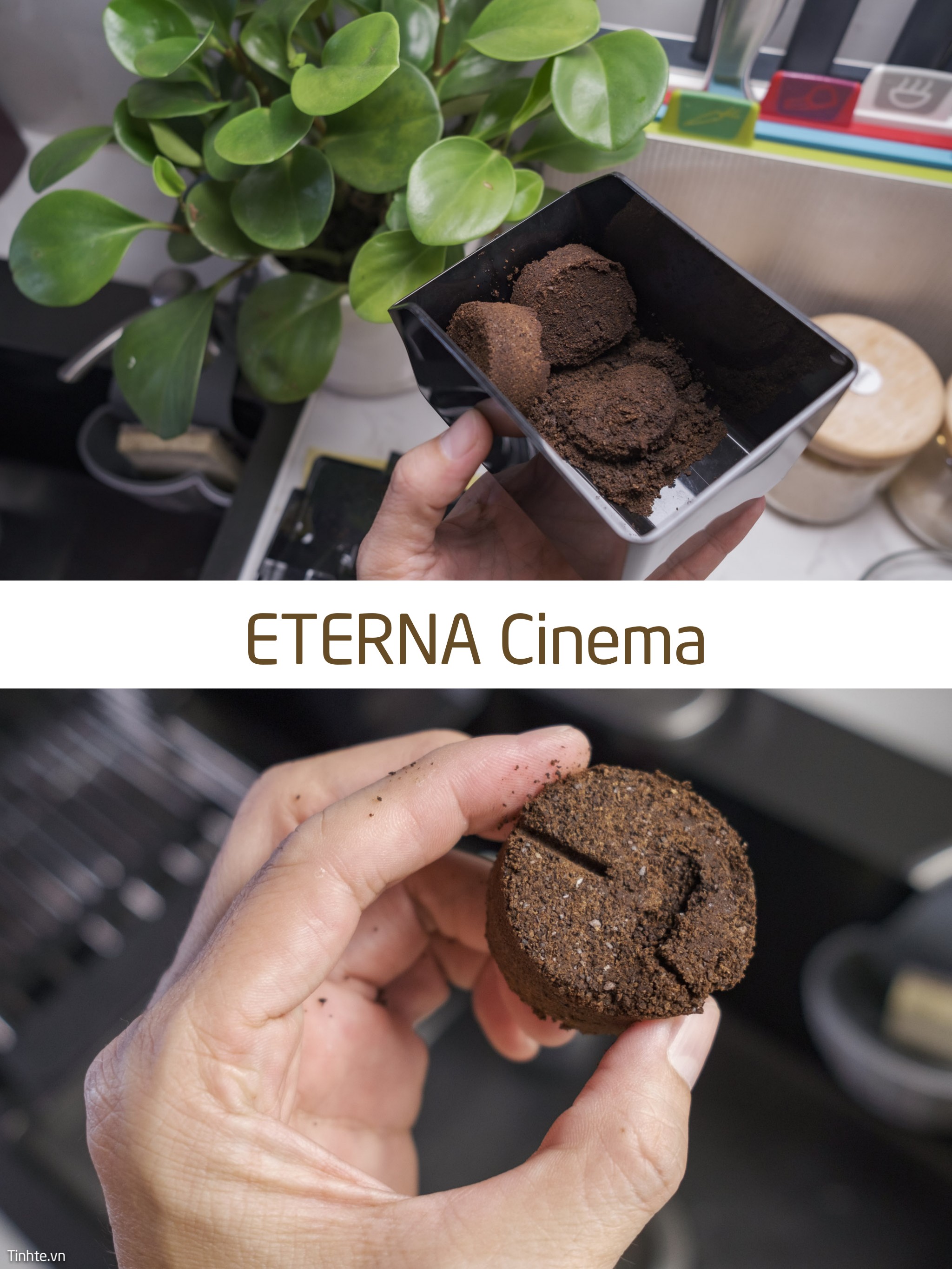 Eterna_Cinema.jpg
