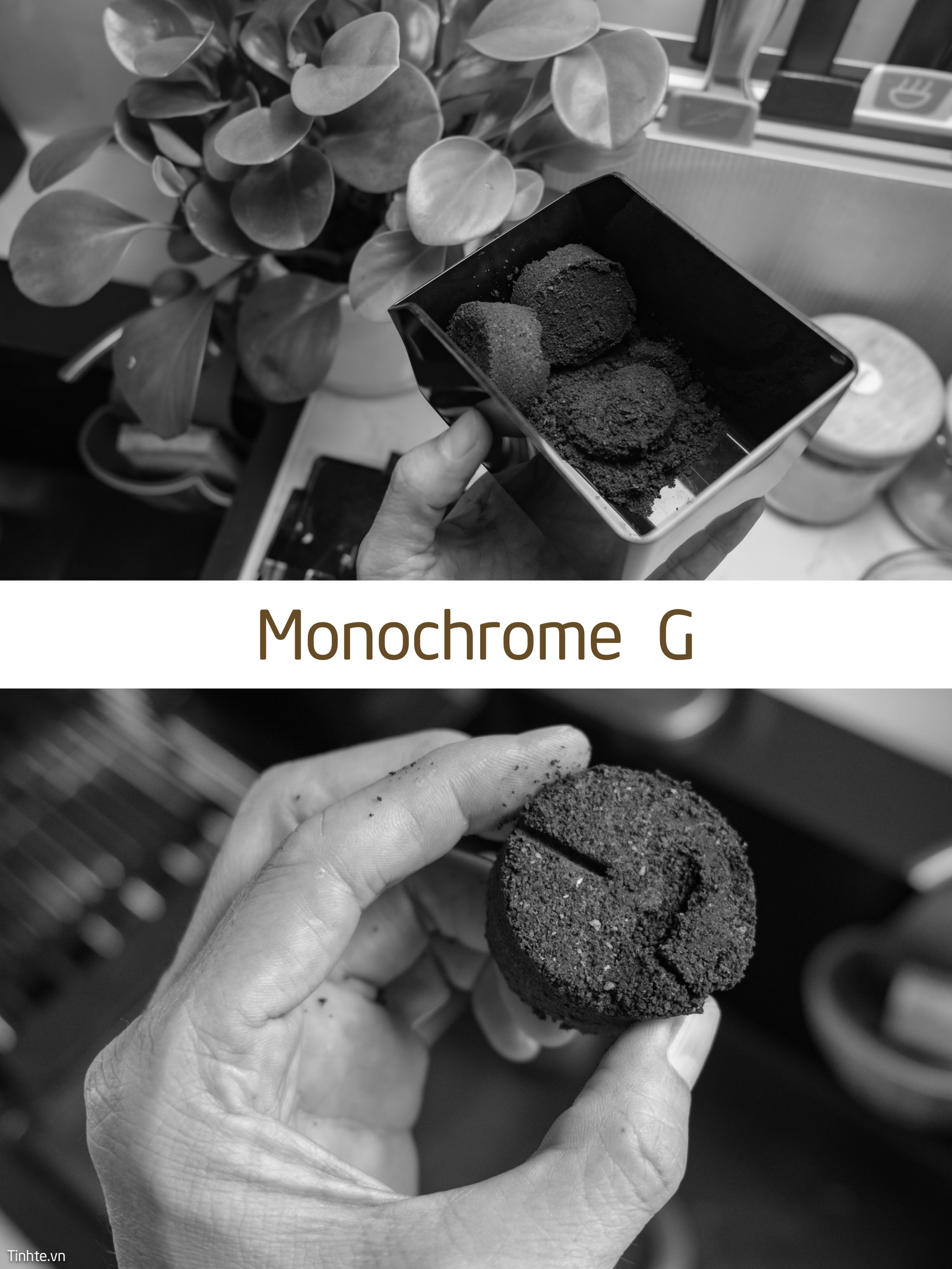 Monochrome_G.jpg