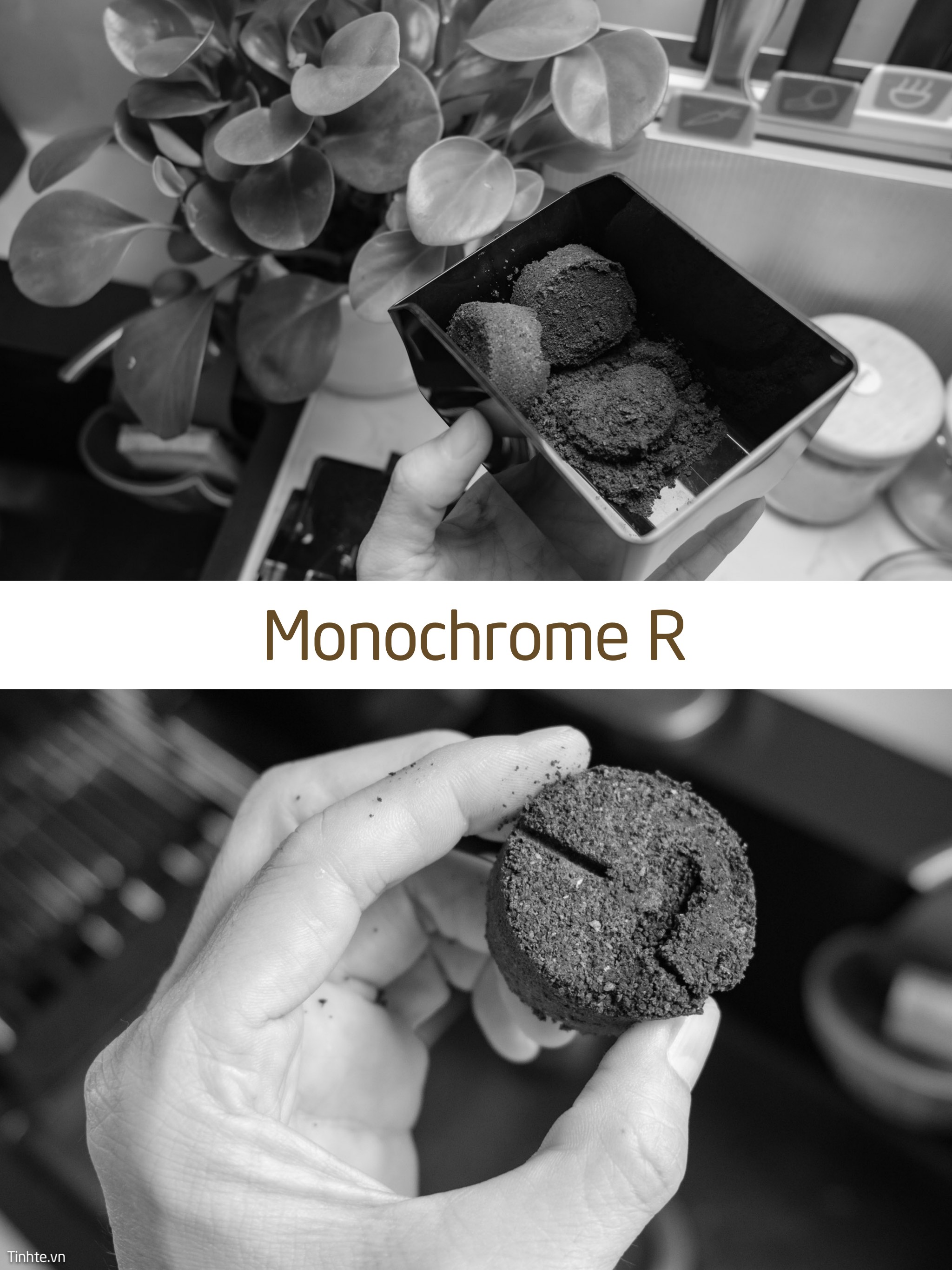 Monochrome_R.jpg