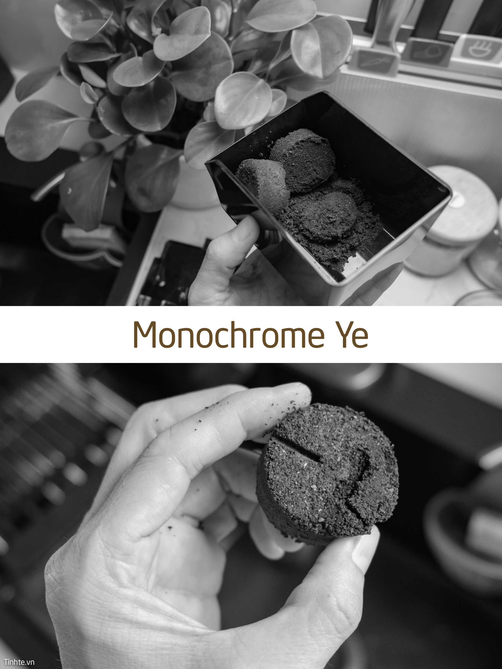 Monochrome_Ye.jpg