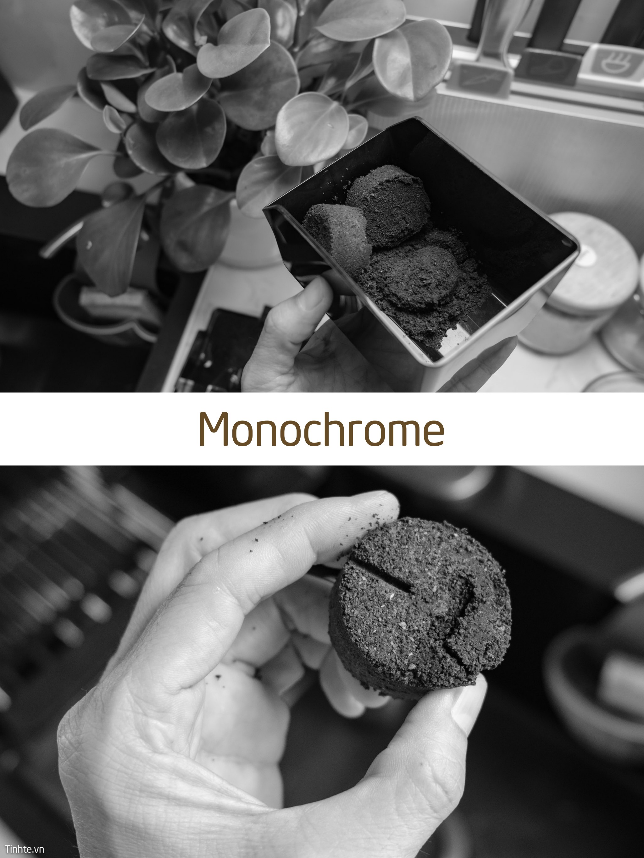 Monochrome.jpg