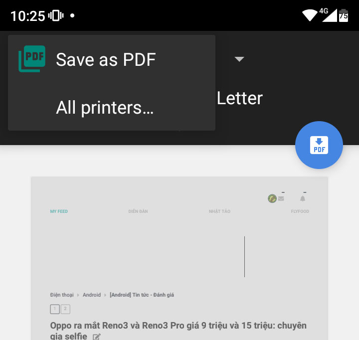 7.Save_As_PDF.jpg