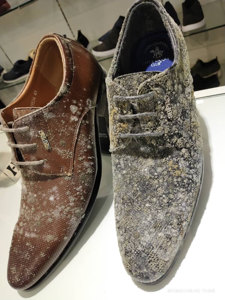 metro-leather-goods-mouldy-01.jpg