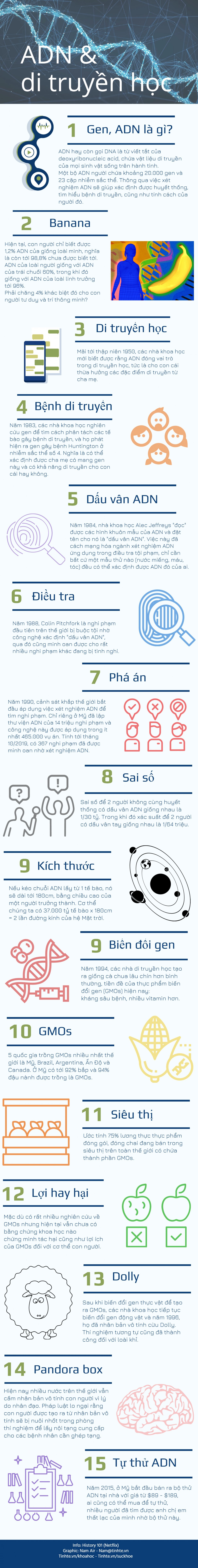Tinhte_infographic_ADN.jpg