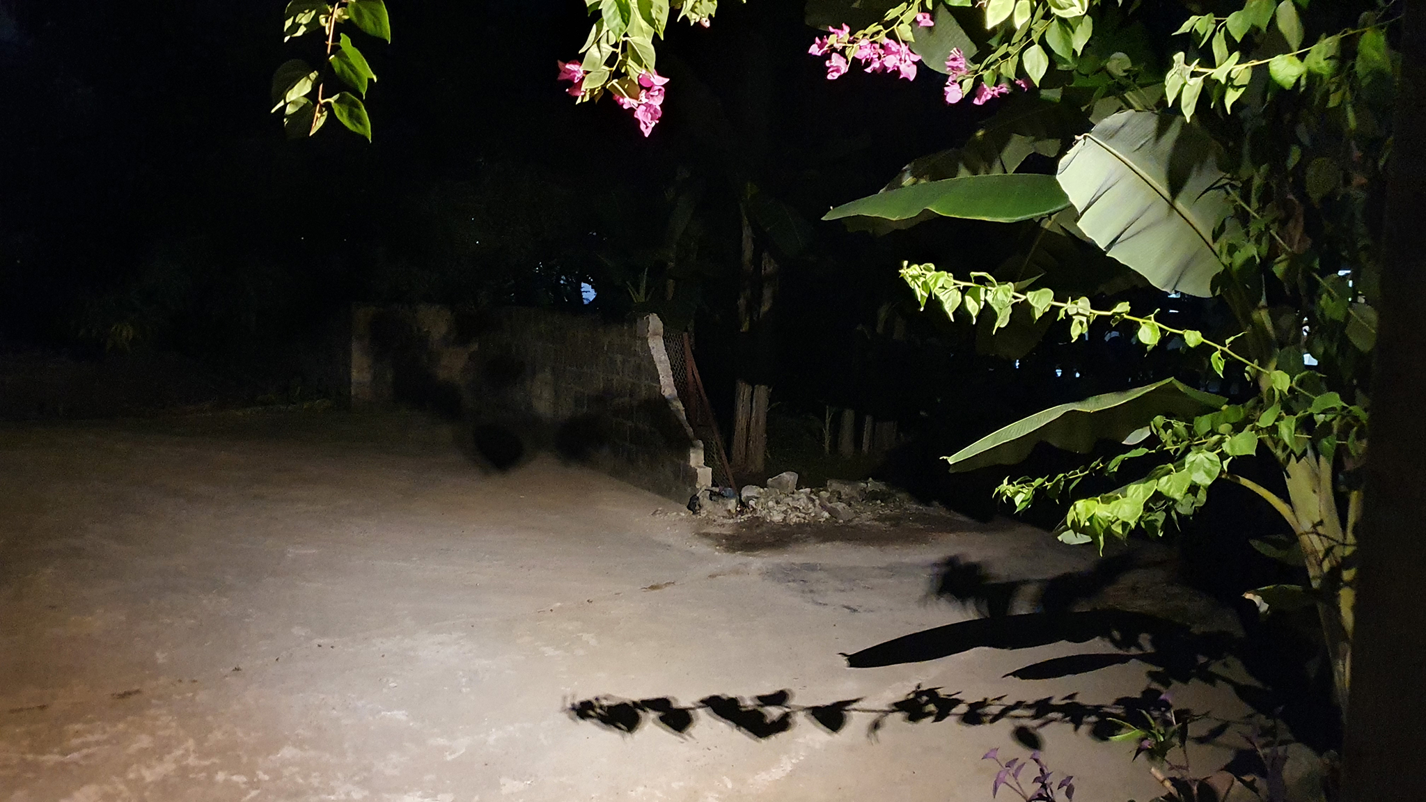 20200622_195720.jpg