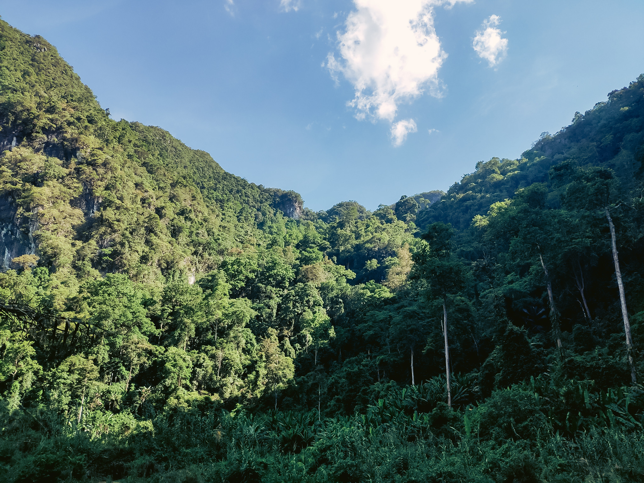 18 Canh dep.jpg