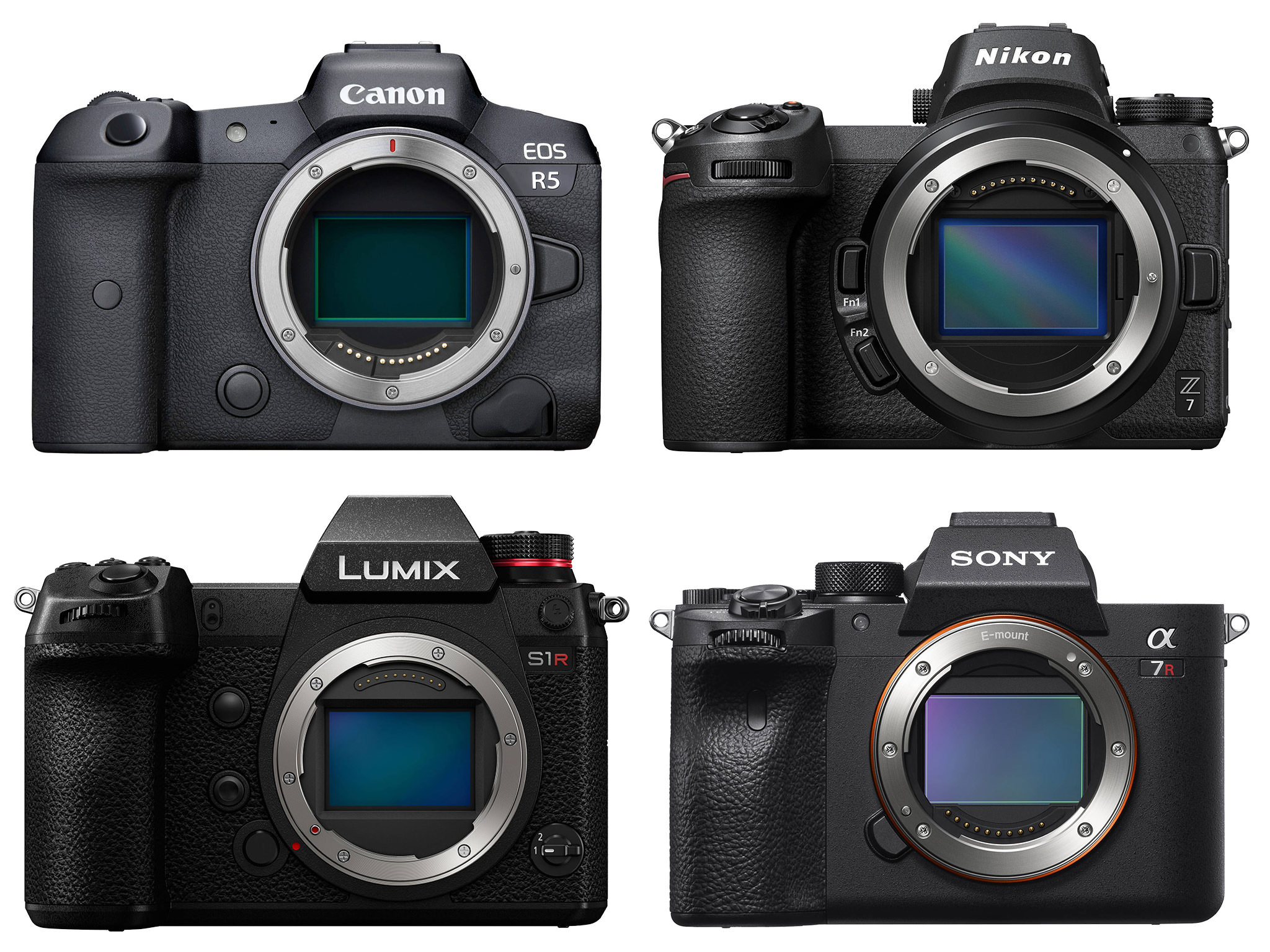Canon-EOS-R5-vs-Nikon-Z7-vs-Panasonic-S1R-vs-Sony-A7R-IV.jpg