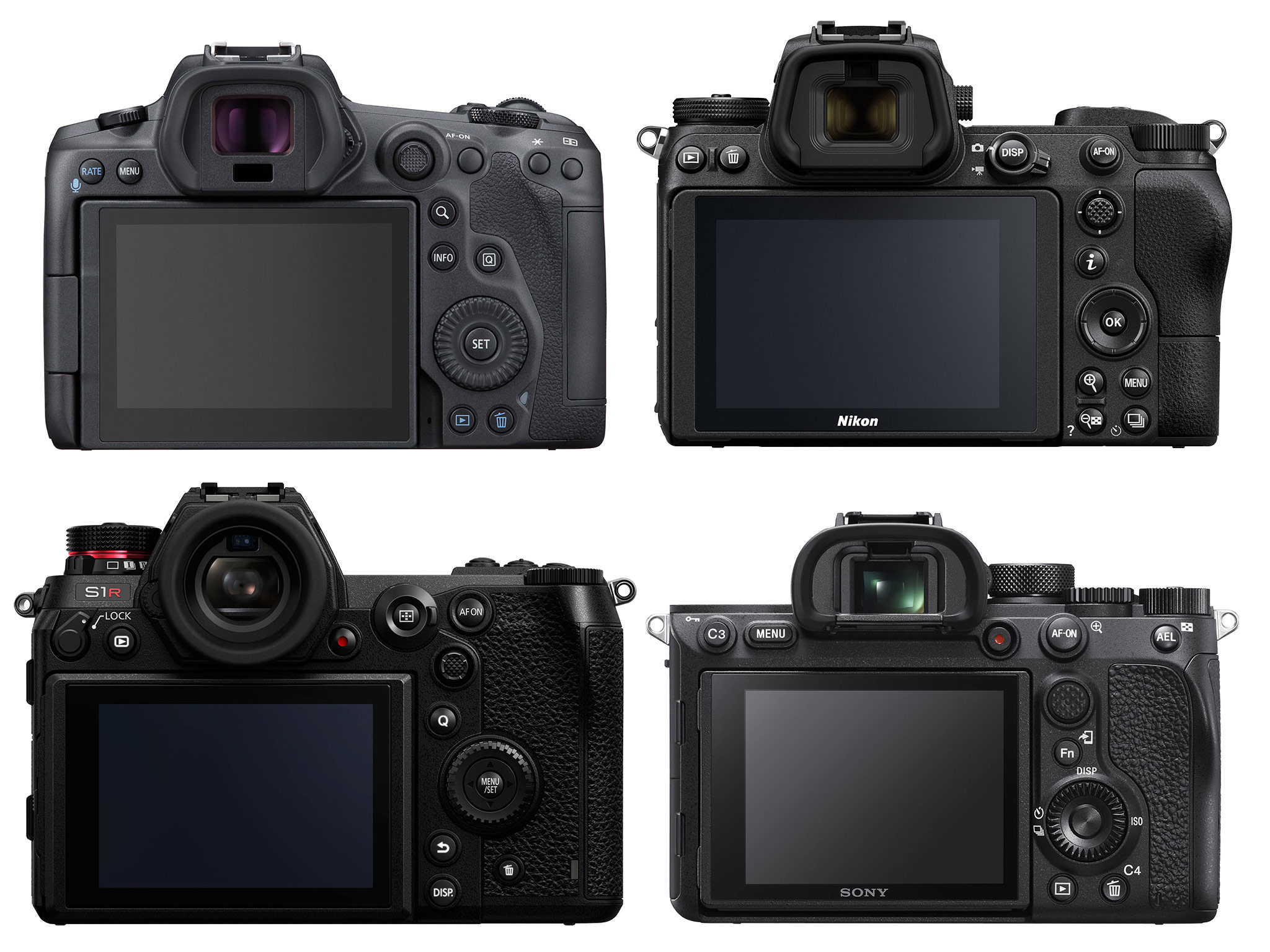 Canon-EOS-R5-vs-Nikon-Z7-vs-Panasonic-S1R-vs-Sony-A7R-IV-Back.jpg