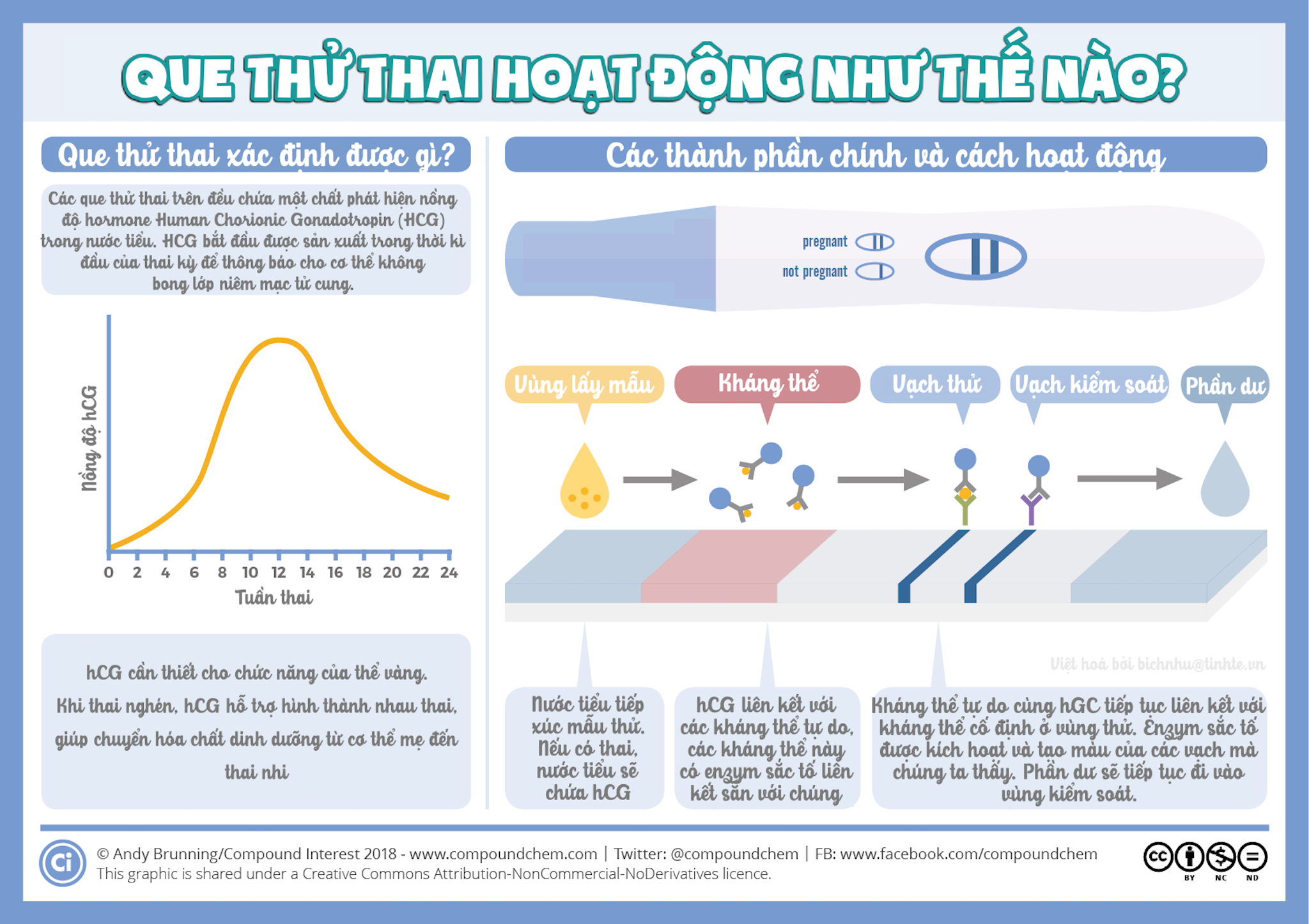 Hình ảnh que thử thai 2 vạch mờ có thai không thưa Bác Sĩ?