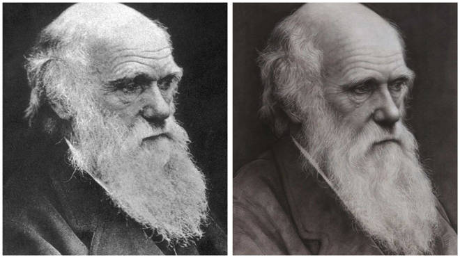 tinhte_charles darwin.jpg