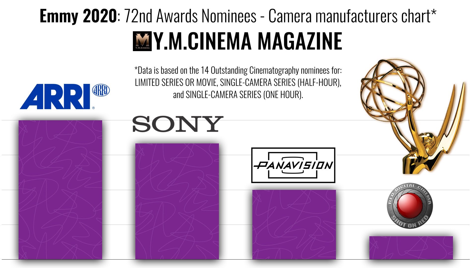 72nd Emmy Awards Nominees camera 2.jpeg