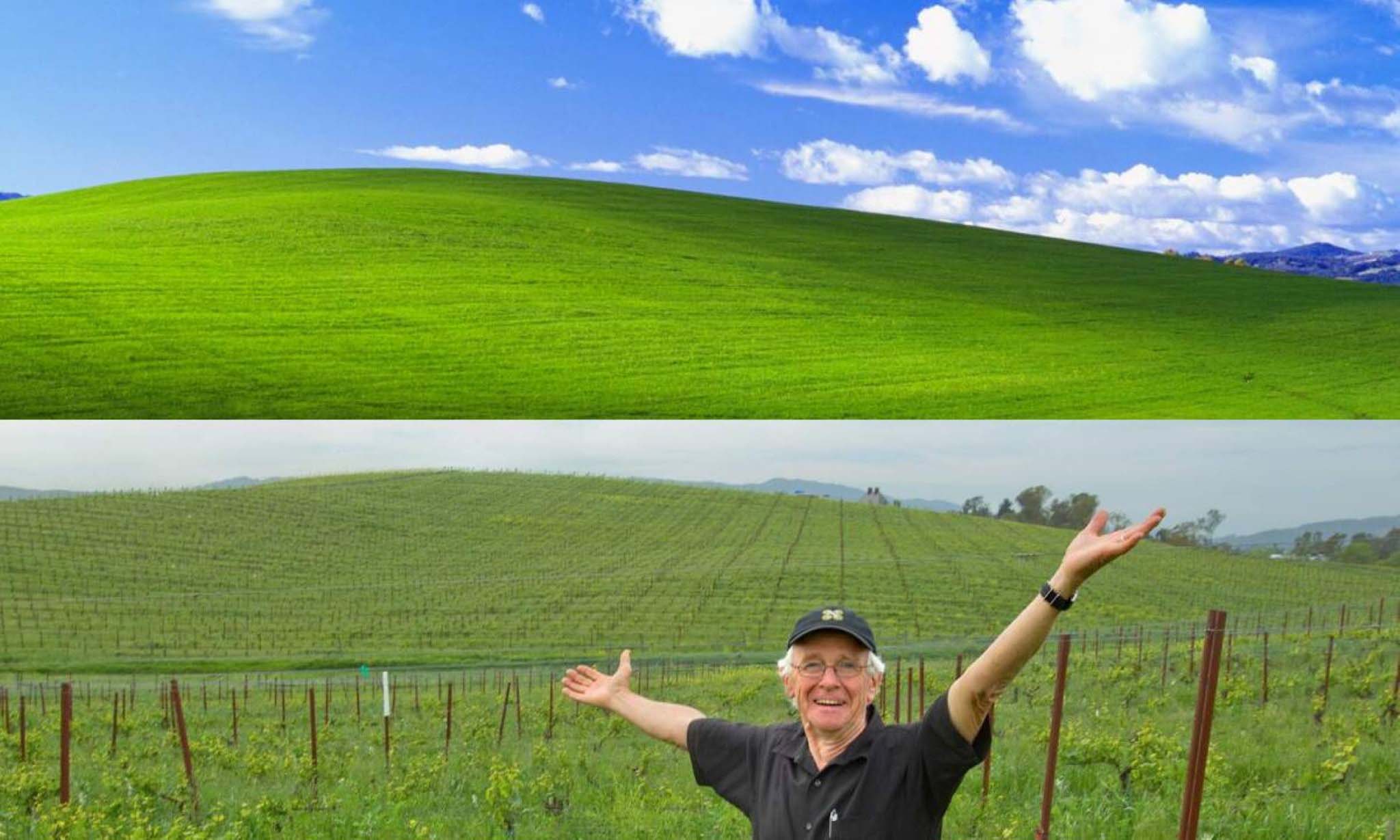 Hình nền huyền thoại trên Windows XP một thời: Được Microsoft trả hơn  100.000 USD vào năm 2000, đến nay vẫn xanh tốt như ngày nào