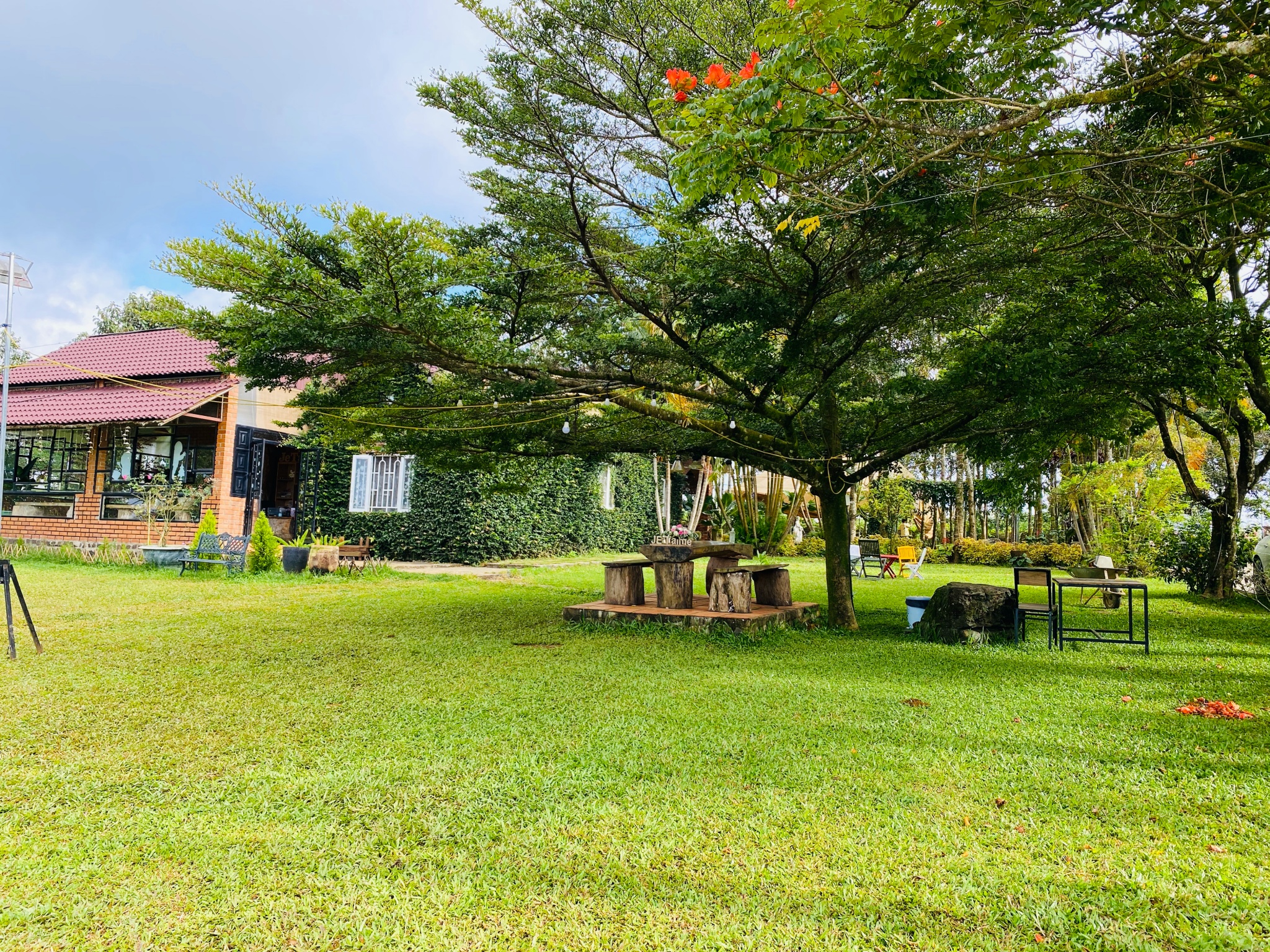 sân vườn nắng.jpg