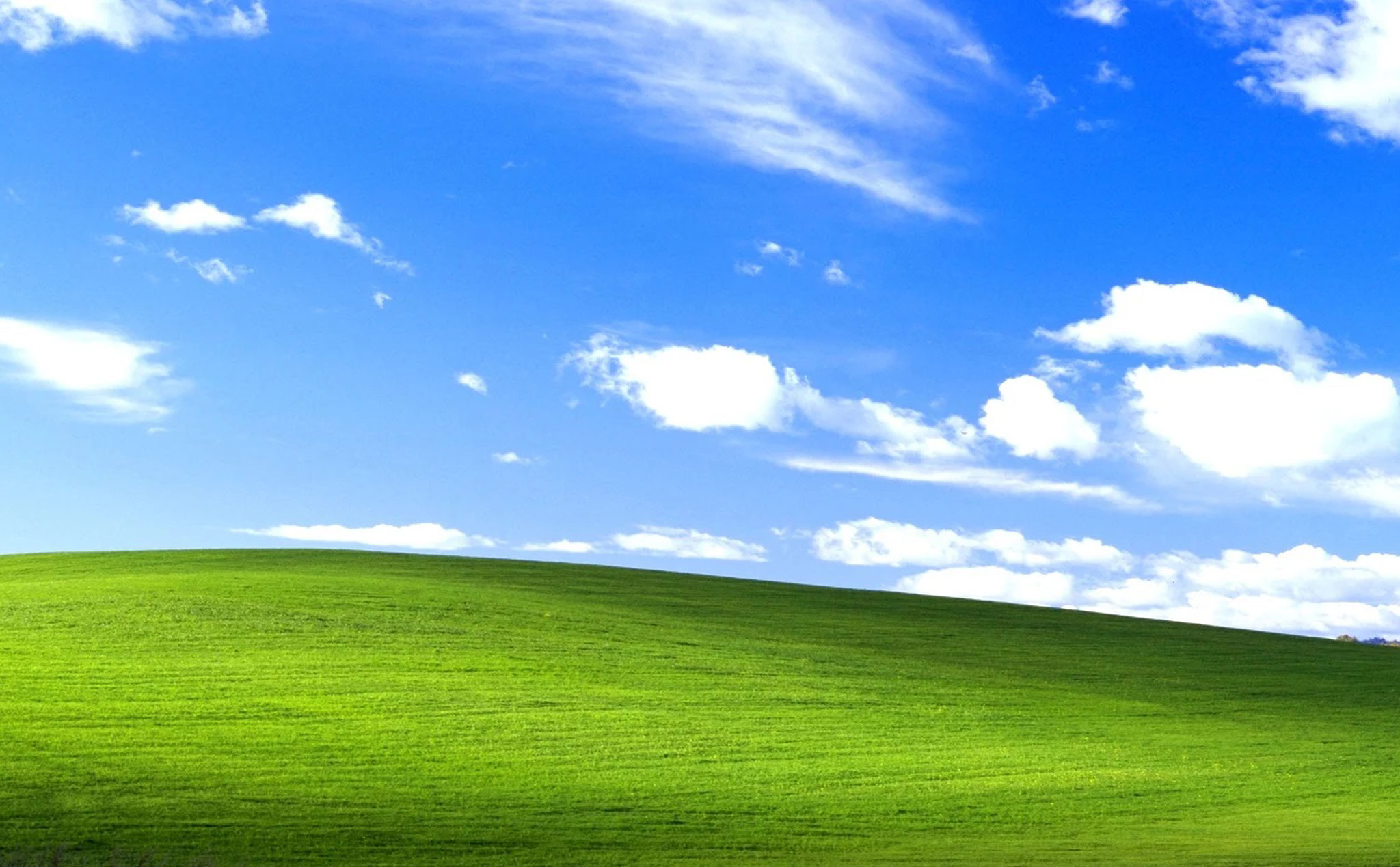 Hình nền huyền thoại Windows XP một thời: 20 năm trước được trả hơn 100.000  USD, nay vẫn xanh tốt như ngày nào