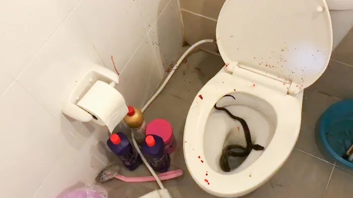 snake-in-toilet.jpg