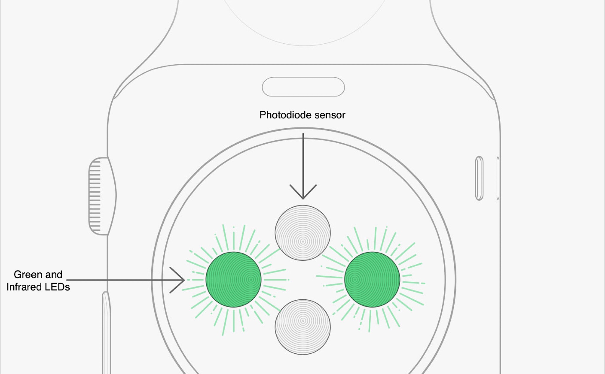 Cụm cảm biến nhịp tim trên Apple Watch đã thay đổi như thế nào qua 3 ...