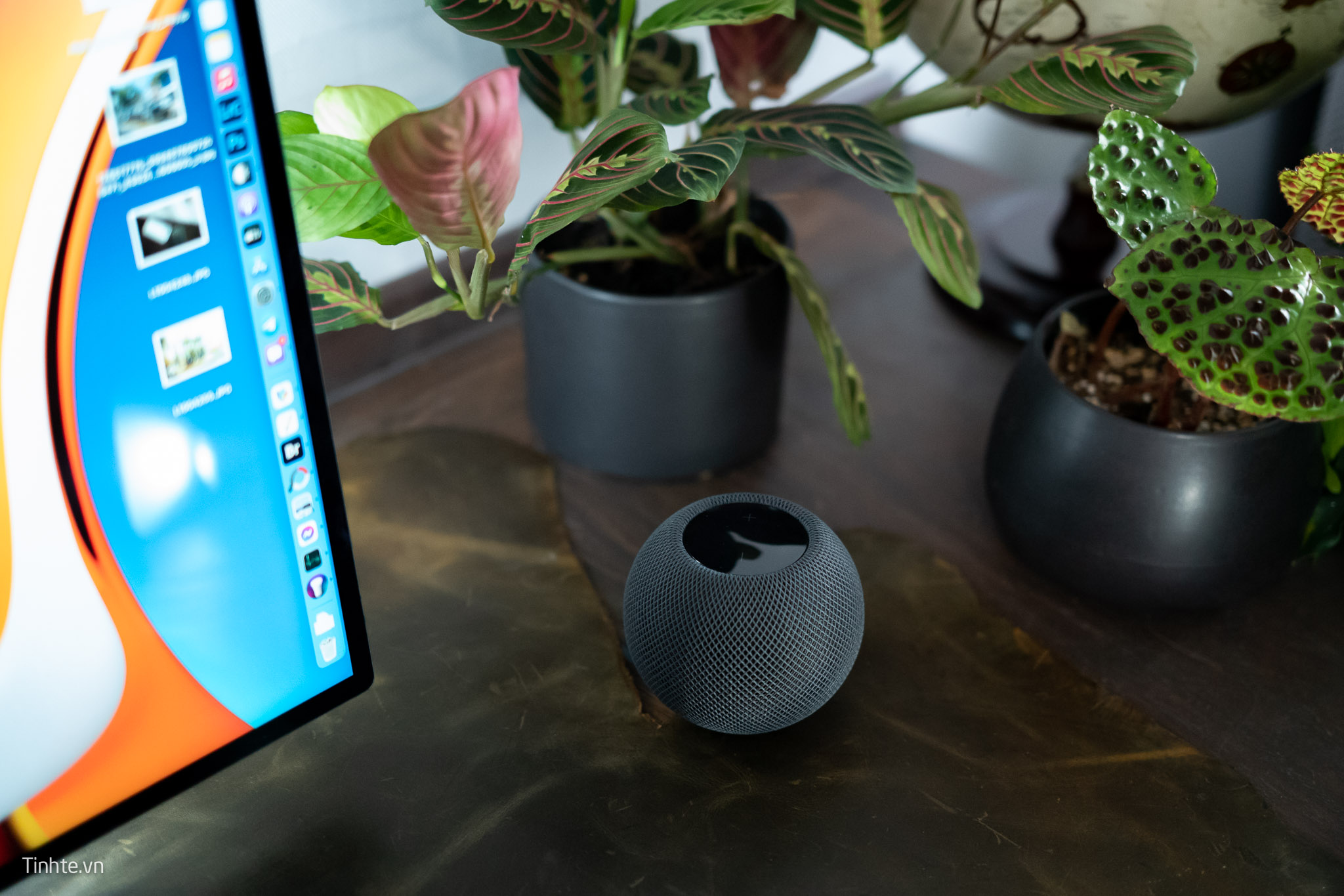 Apple_HomePod_mini_Tinthe_trentay-6.jpg