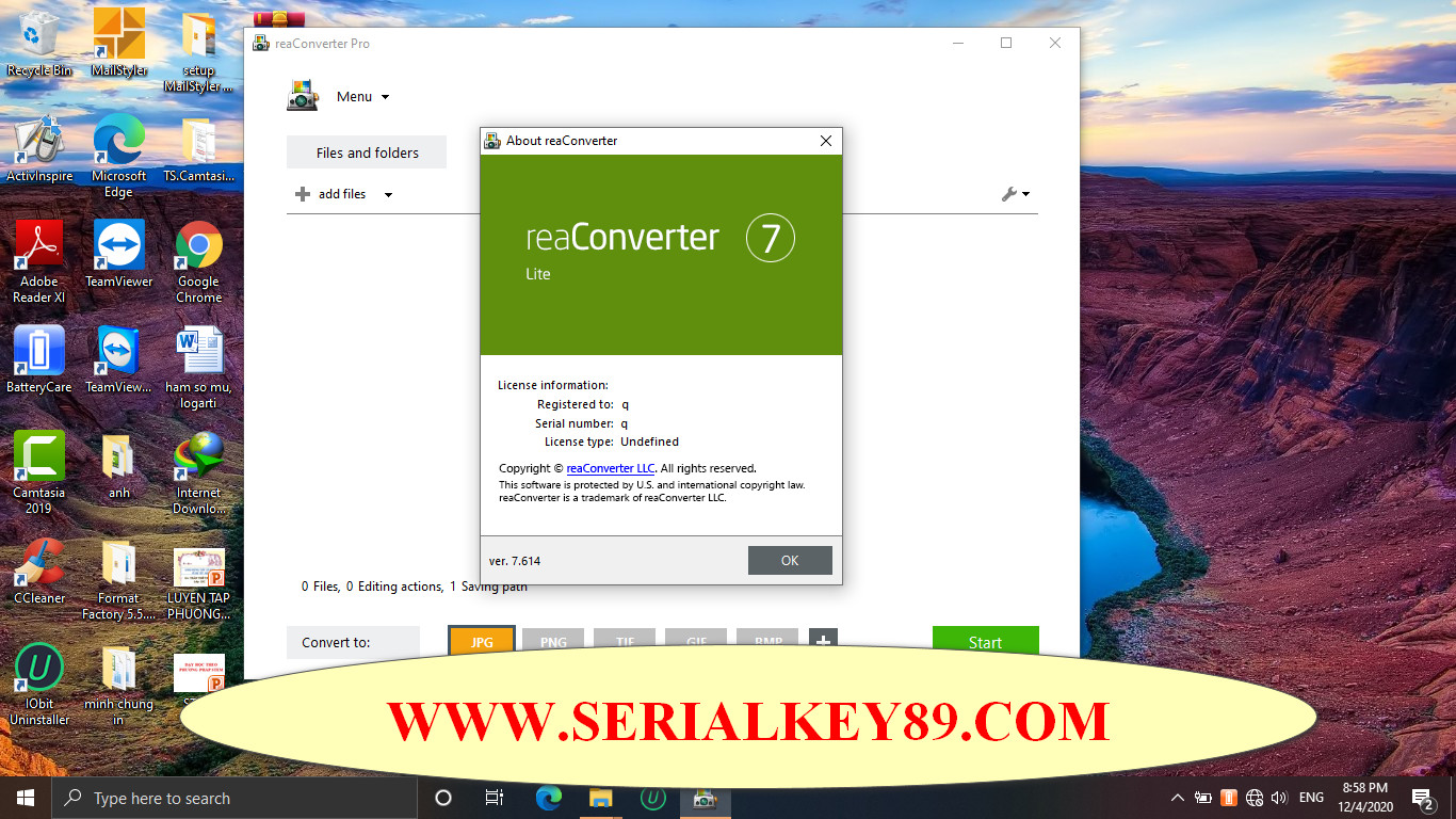 reaConverter Pro 7.793 for android instal