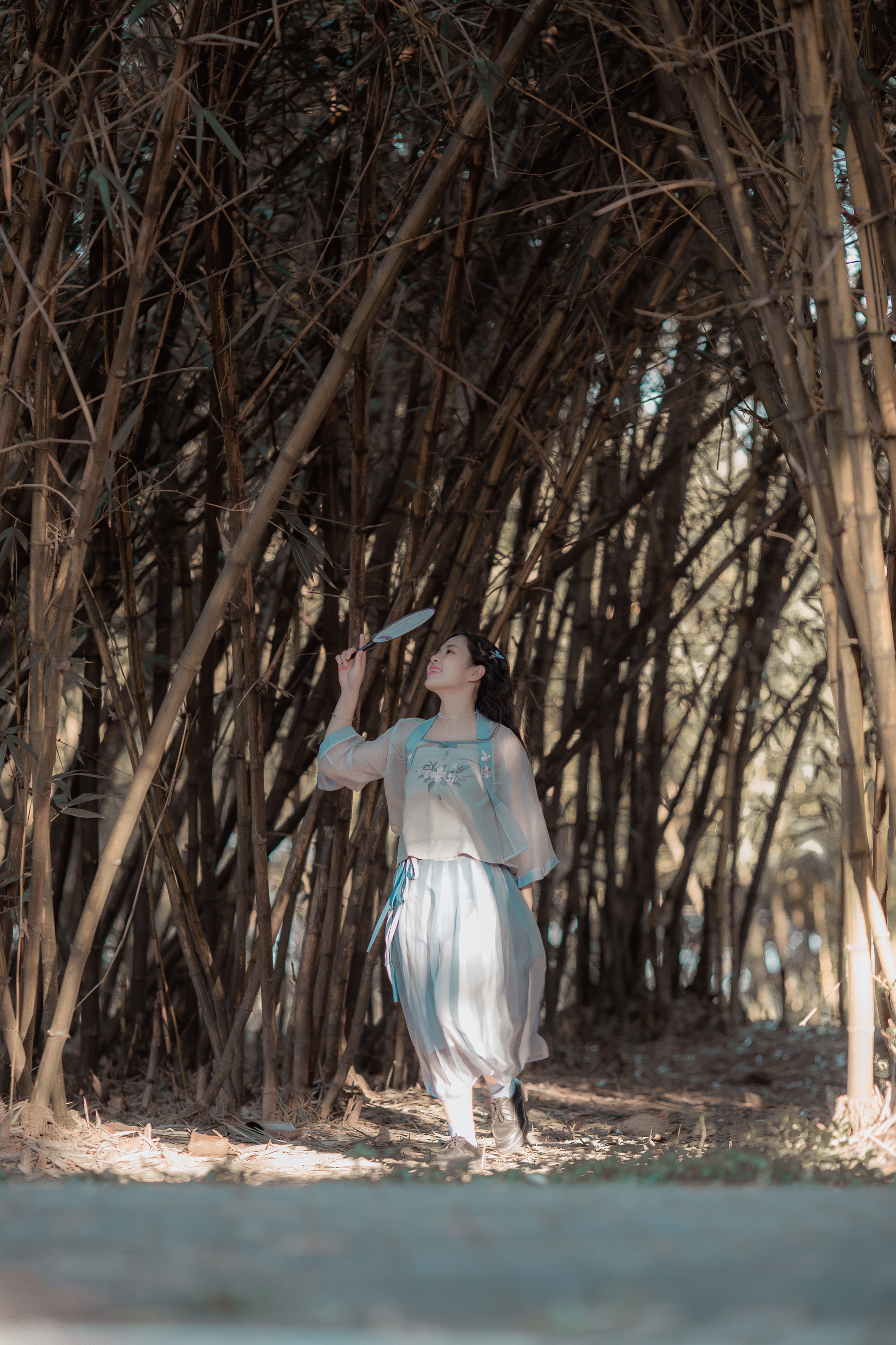 Lạc vào rừng trúc