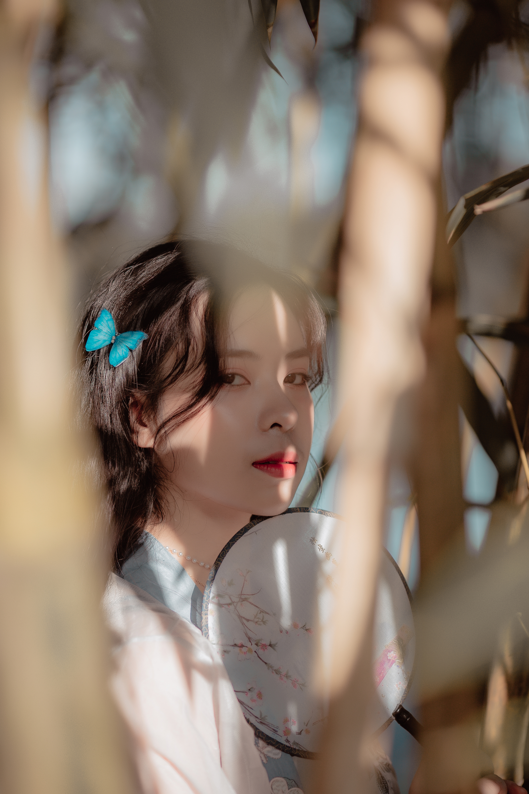 Lạc vào rừng trúc