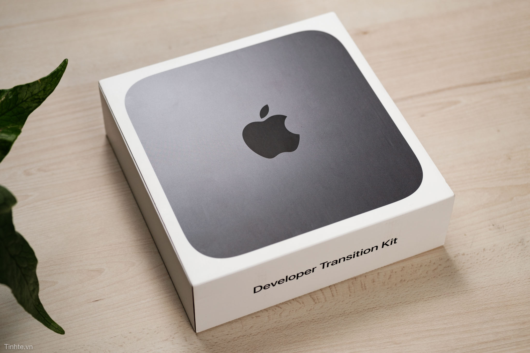 cover_mac_mini-20.jpg