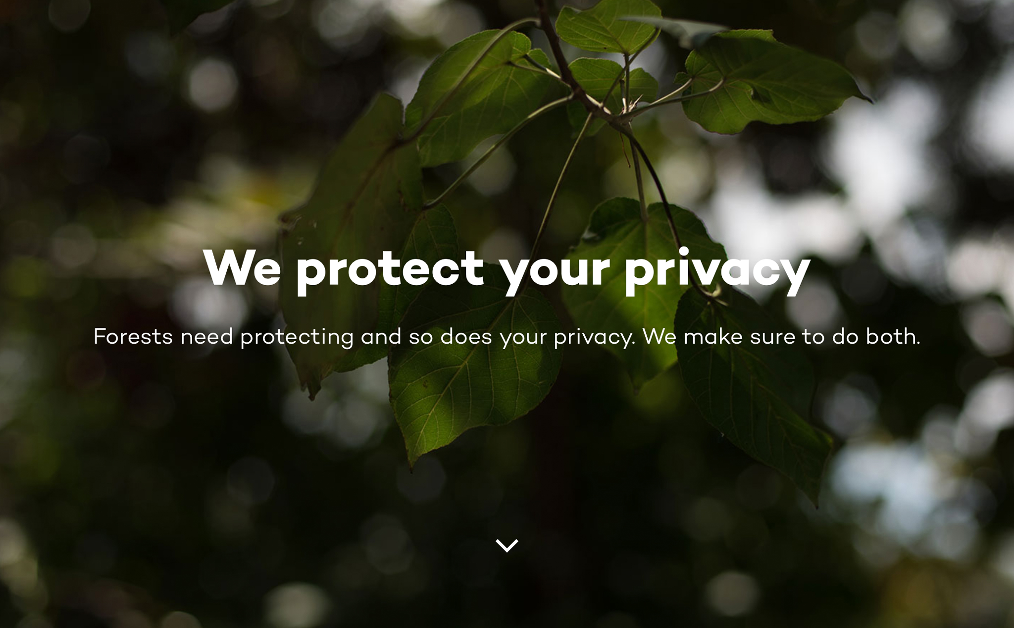 ecosia_privacy.jpg